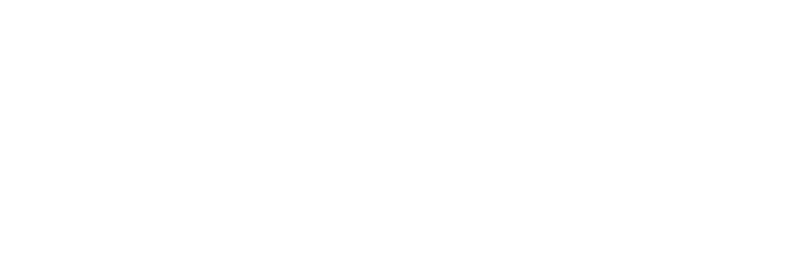VoyageVixen
